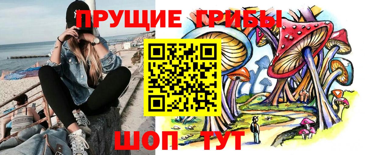 Галлюциногенные грибы прущие грибы  Вход с VPN  Волхов 