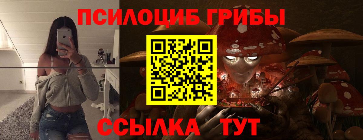 Псилоцибиновые грибы GOLDEN TEACHER Волхов